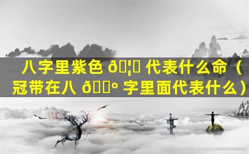 八字里紫色 🦟 代表什么命（冠带在八 🐺 字里面代表什么）